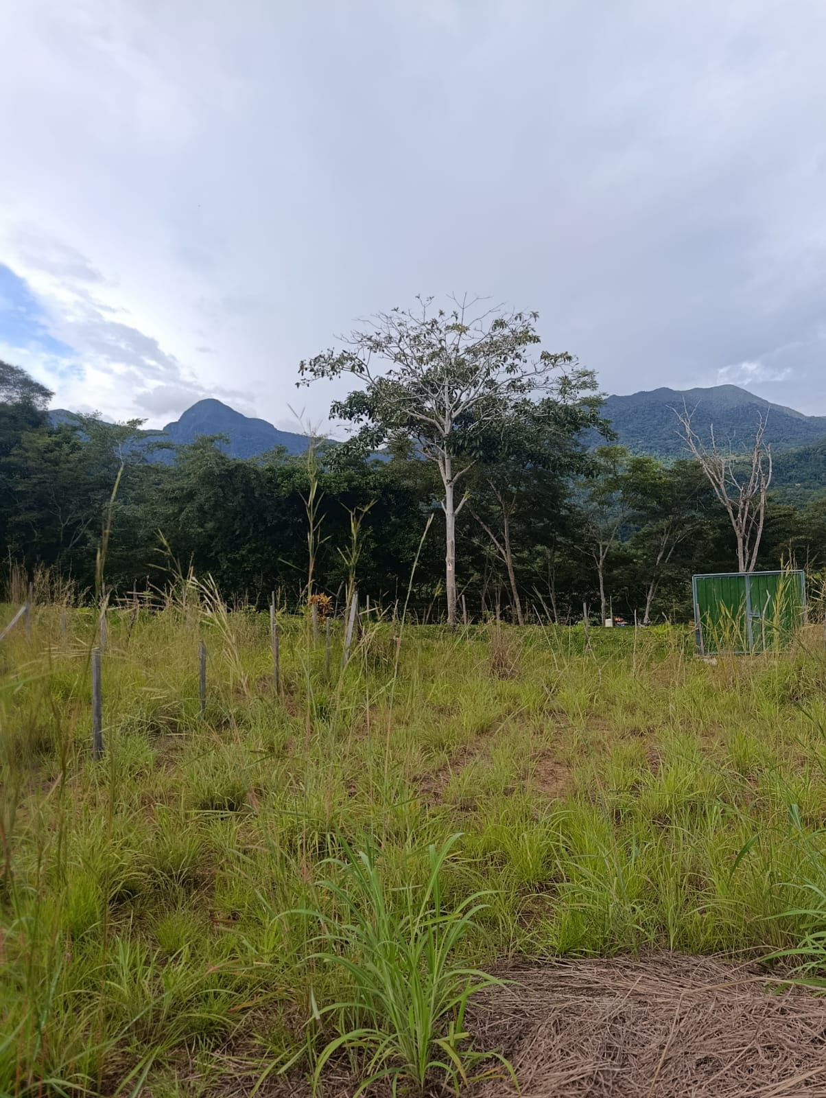 4 lotes a frente del recreo turístico Rancho vista en Tarapoto