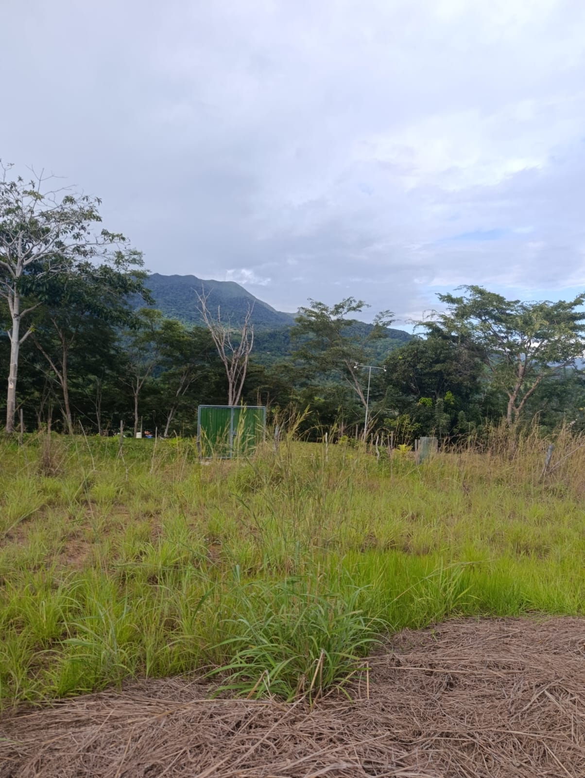4 lotes a frente del recreo turístico Rancho vista en Tarapoto