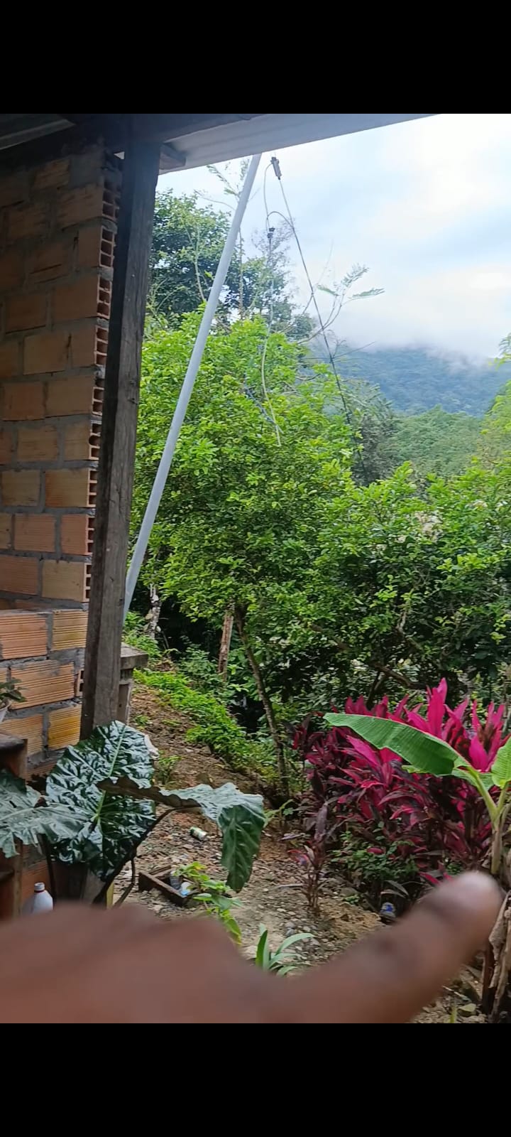 Lote a 1 cdr de la plaza de san Antonio en Morales- Tarapoto