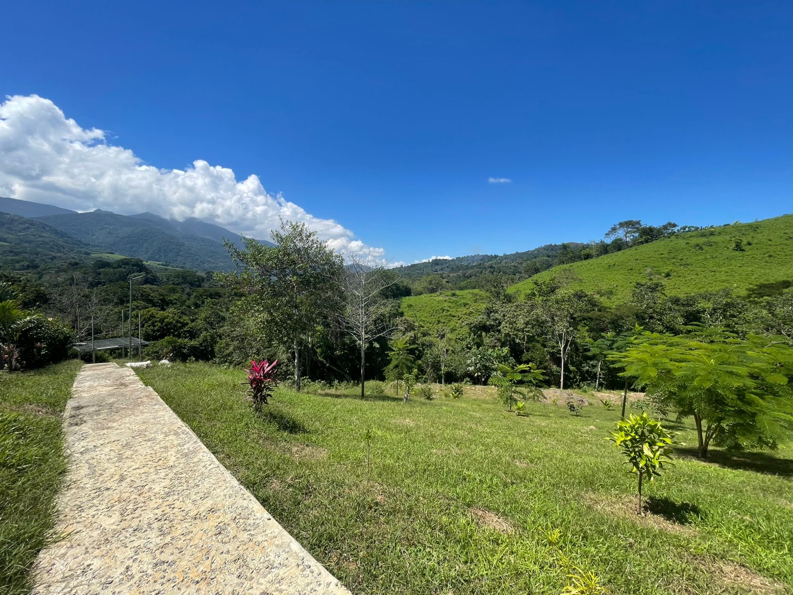 OPORTUNIDAD DE INVERSIÓN TURÍSTICA Y AIRBNB EN TARAPOTO 🌿✨