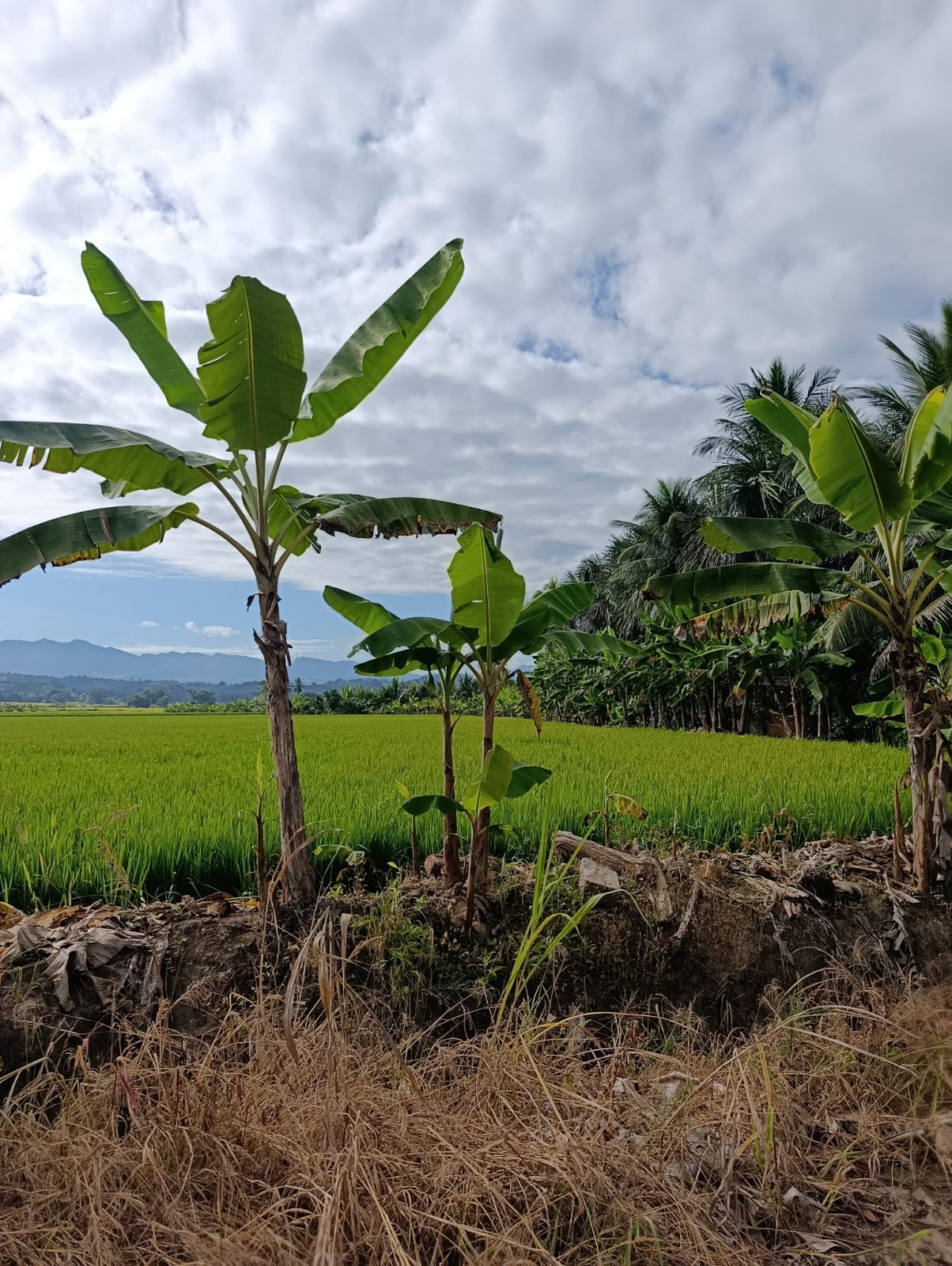 OPORTUNIDAD DE INVERSIÓN EN TARAPOTO 🏞️