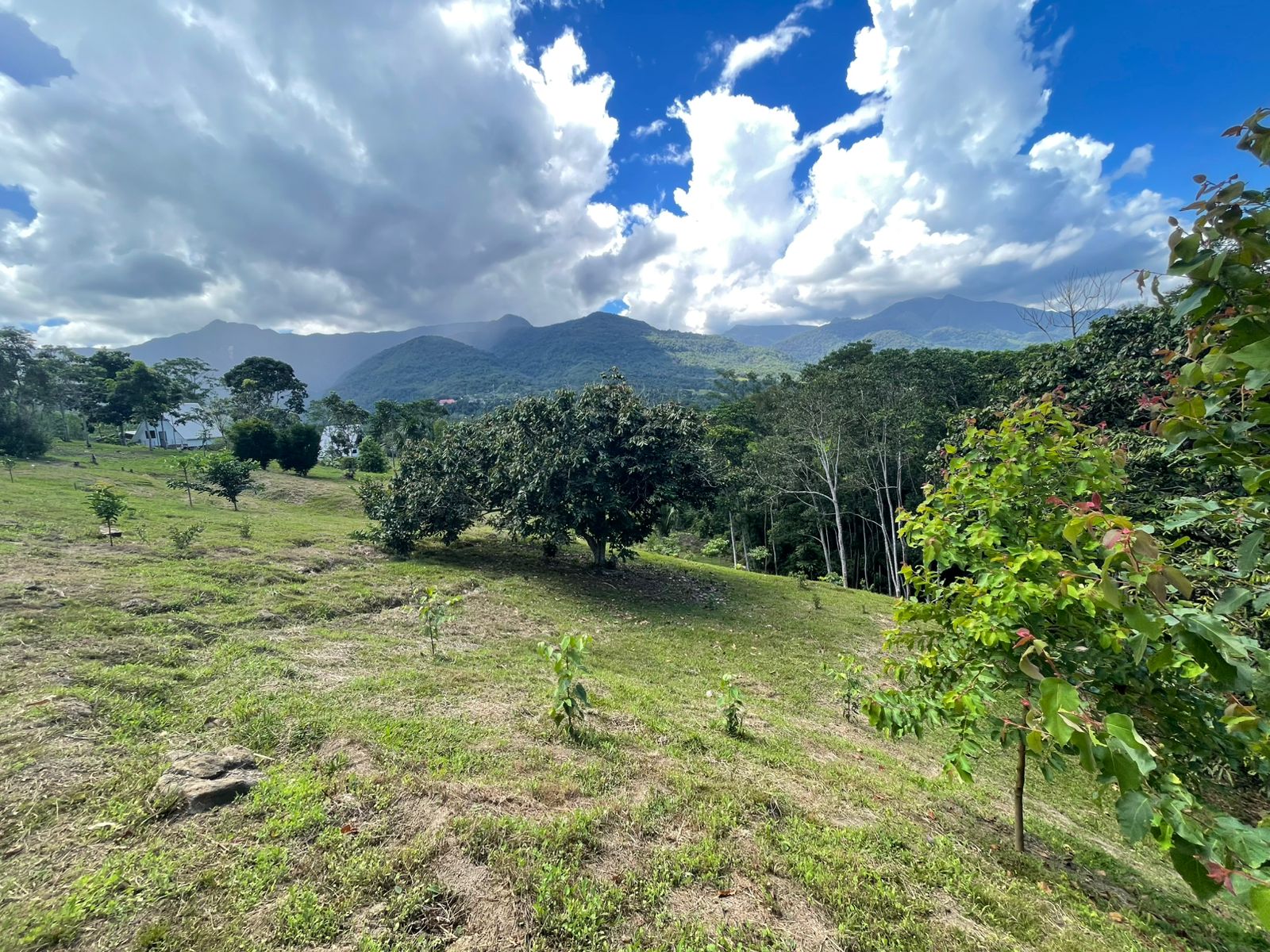 OPORTUNIDAD DE INVERSIÓN TURÍSTICA Y AIRBNB EN TARAPOTO 🌿✨