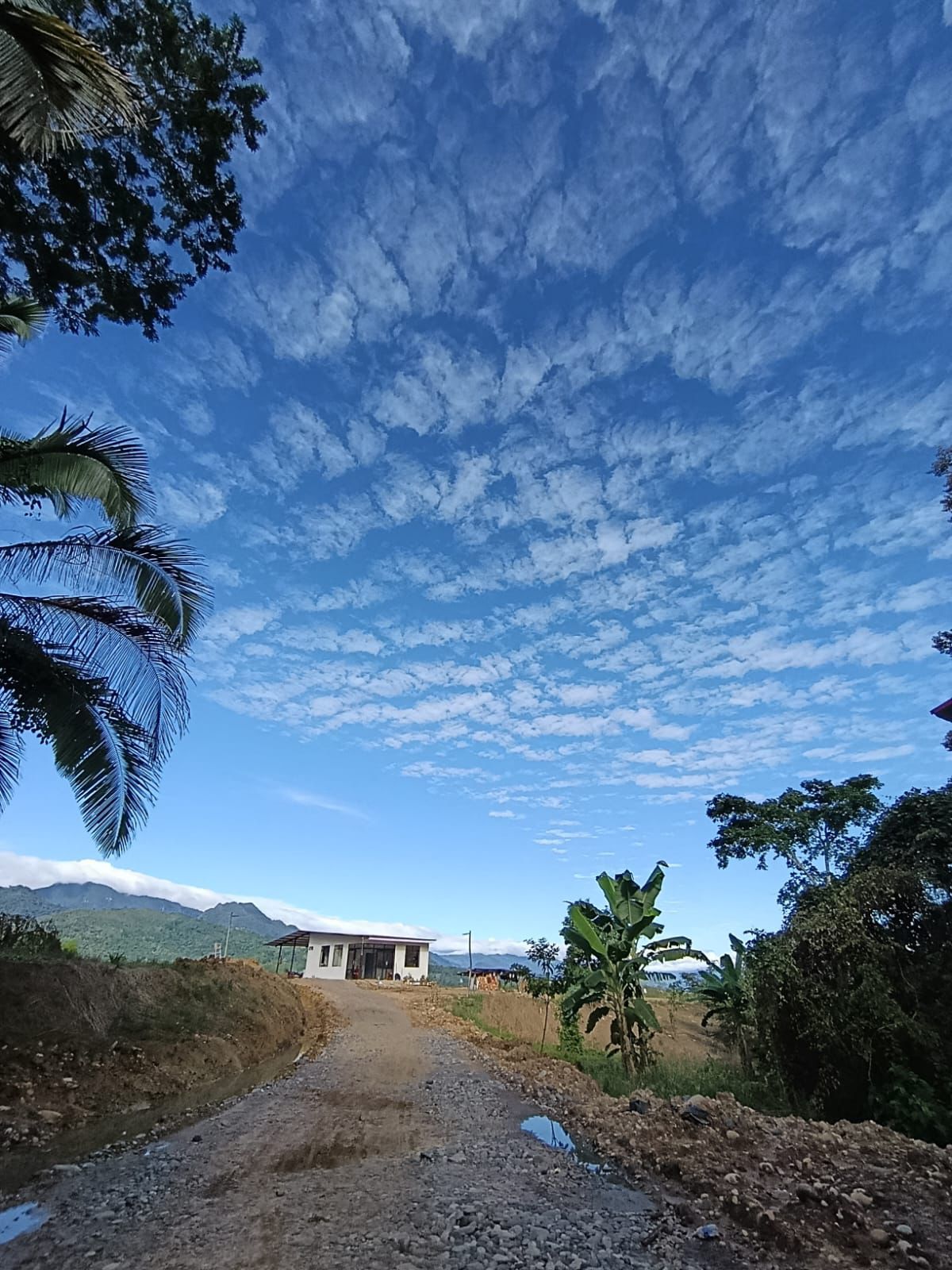 Esta es tu oportunidad de invertir en Brisas del Valle🌴