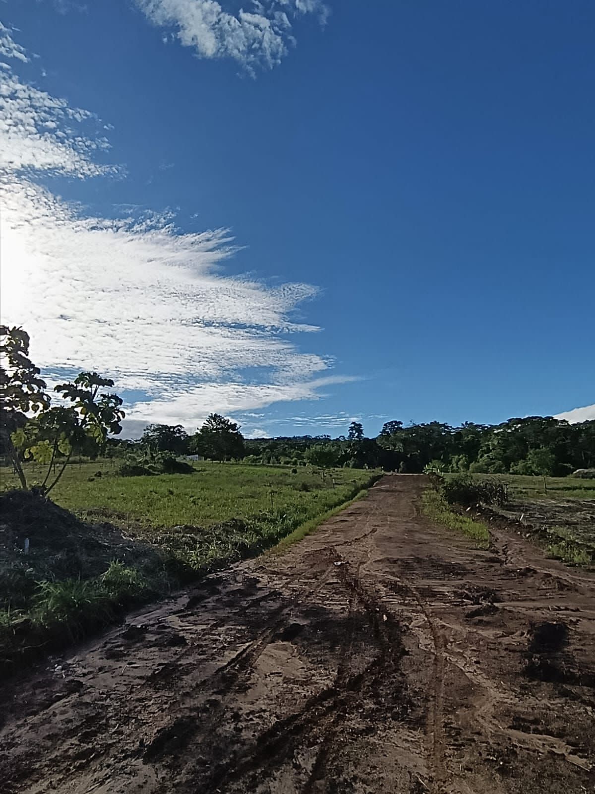 Esta es tu oportunidad de invertir en Brisas del Valle🌴