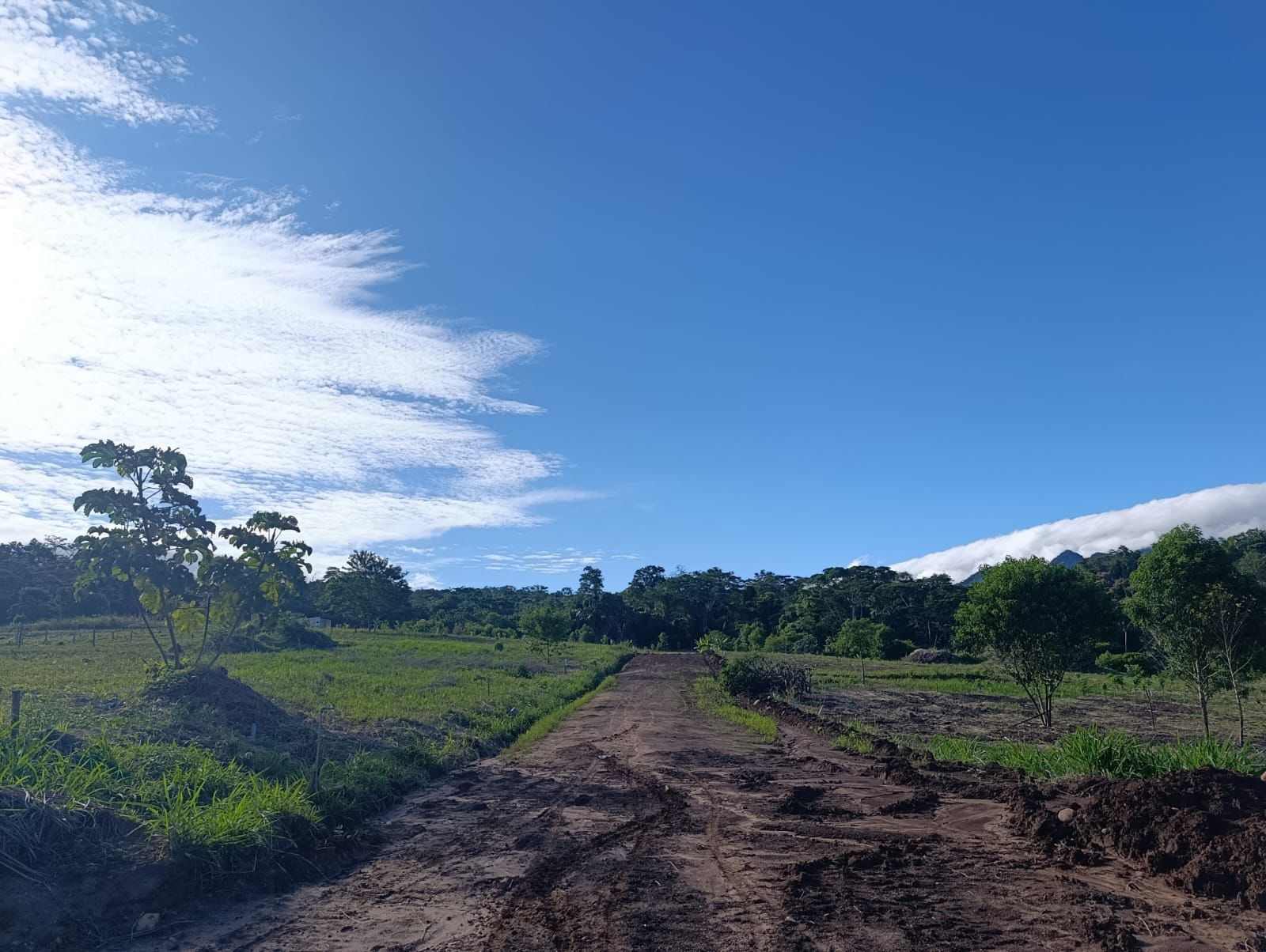 Esta es tu oportunidad de invertir en Brisas del Valle🌴