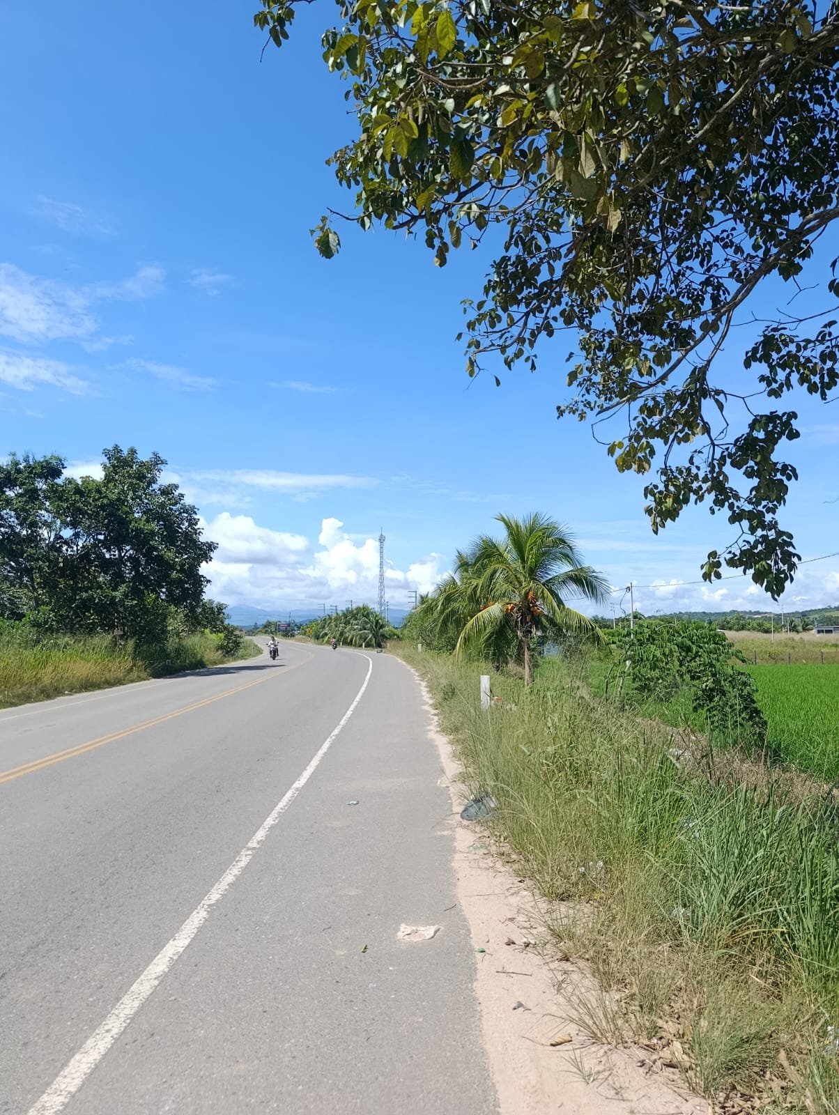 OPORTUNIDAD DE INVERSIÓN EN TARAPOTO 🔥
