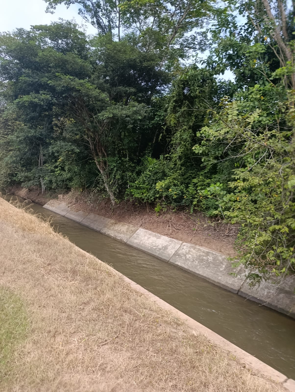 OPORTUNIDAD DE INVERSIÓN EN TARAPOTO! 🏞️