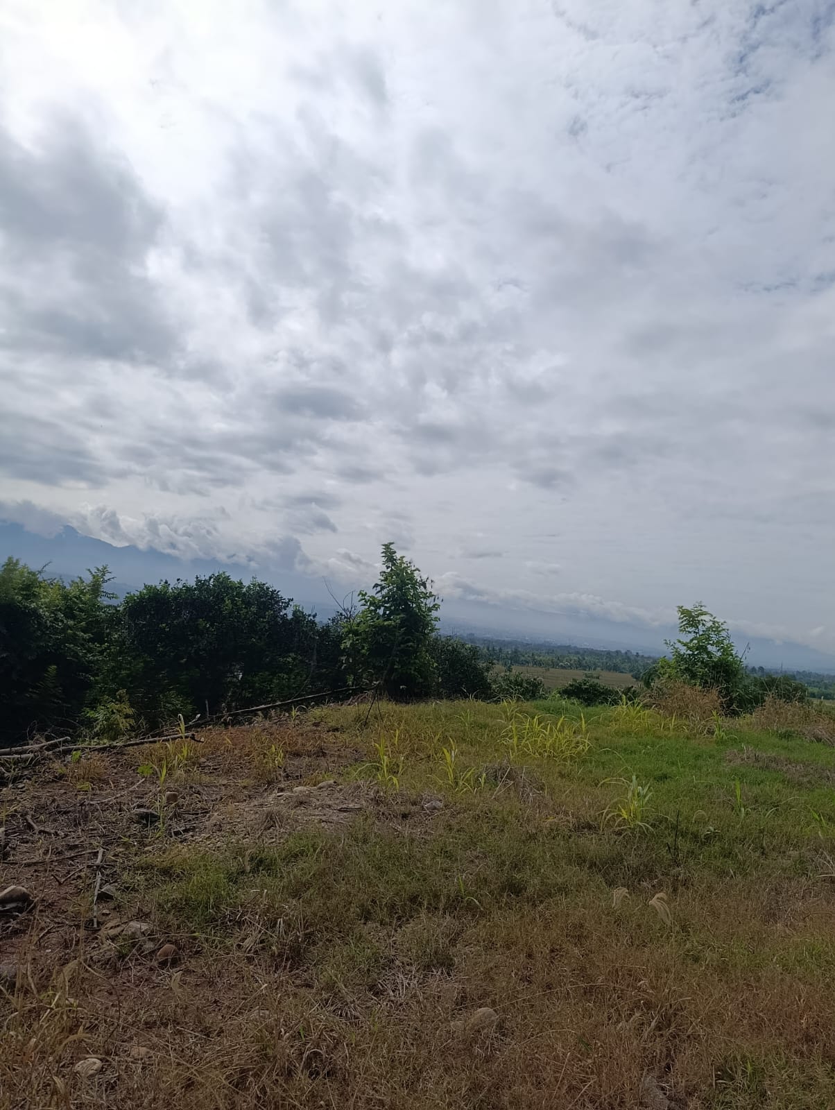 OPORTUNIDAD DE INVERSIÓN EN TARAPOTO! 🏞️