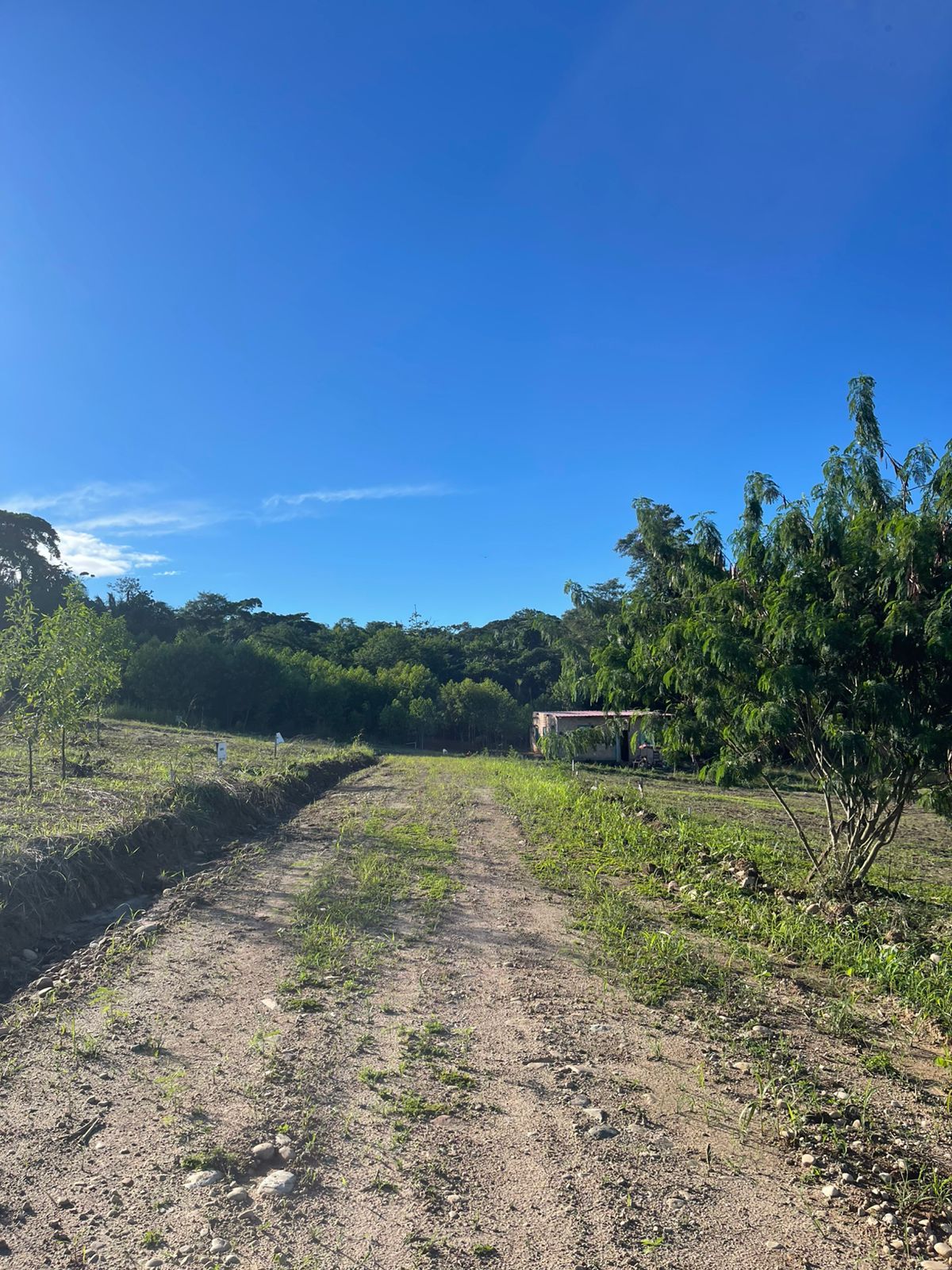 🌿🏡 ¡Invierte en tranquilidad y vive rodeado de naturaleza! 🌄