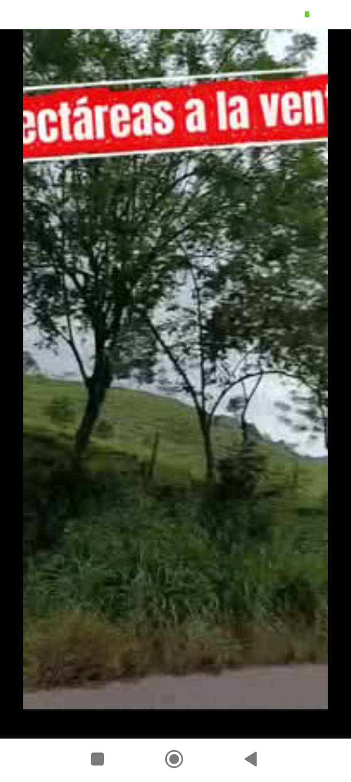 Se vende 56 hectáreas de terreno con 2 km de filo de carretera  🌿✨