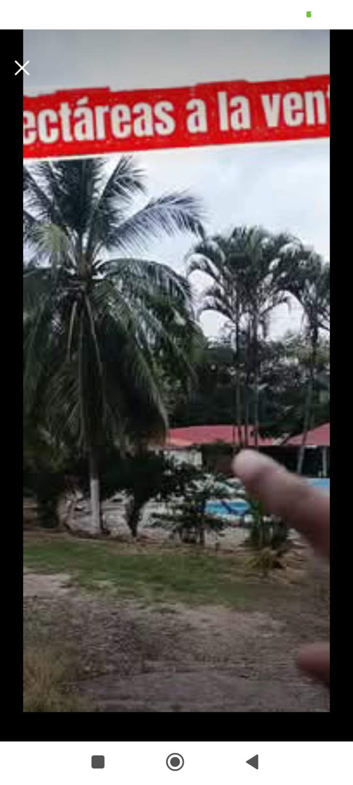 Se vende 56 hectáreas de terreno con 2 km de filo de carretera  🌿✨